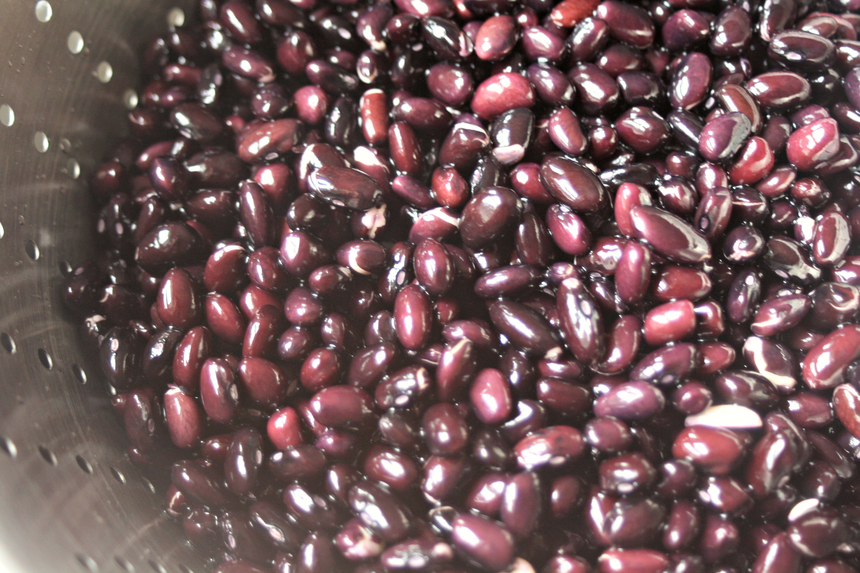 Nourishing Traditions Basic Black Beans | Radiant Life Blog