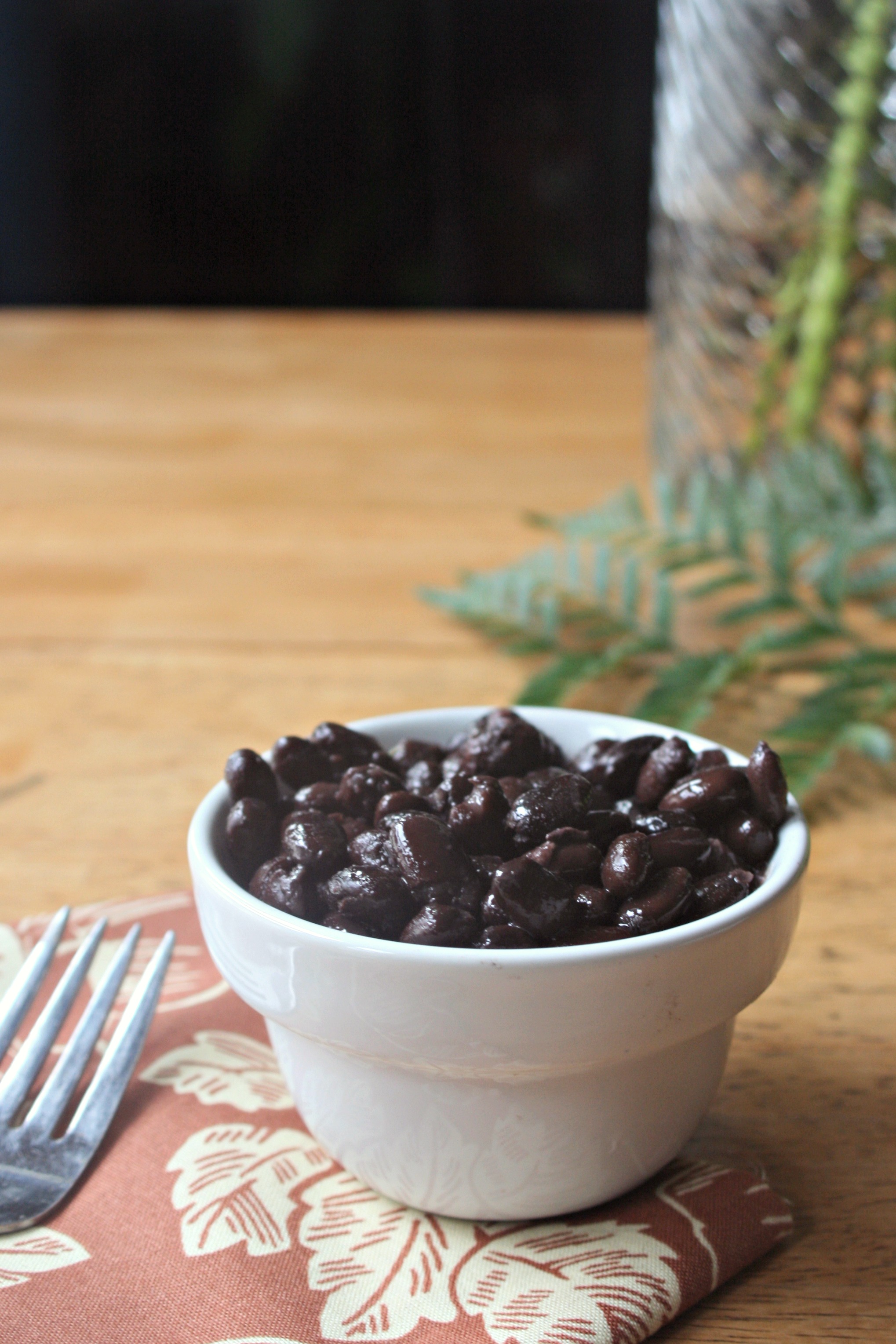 Nourishing Traditions Basic Black Beans | Radiant Life Blog