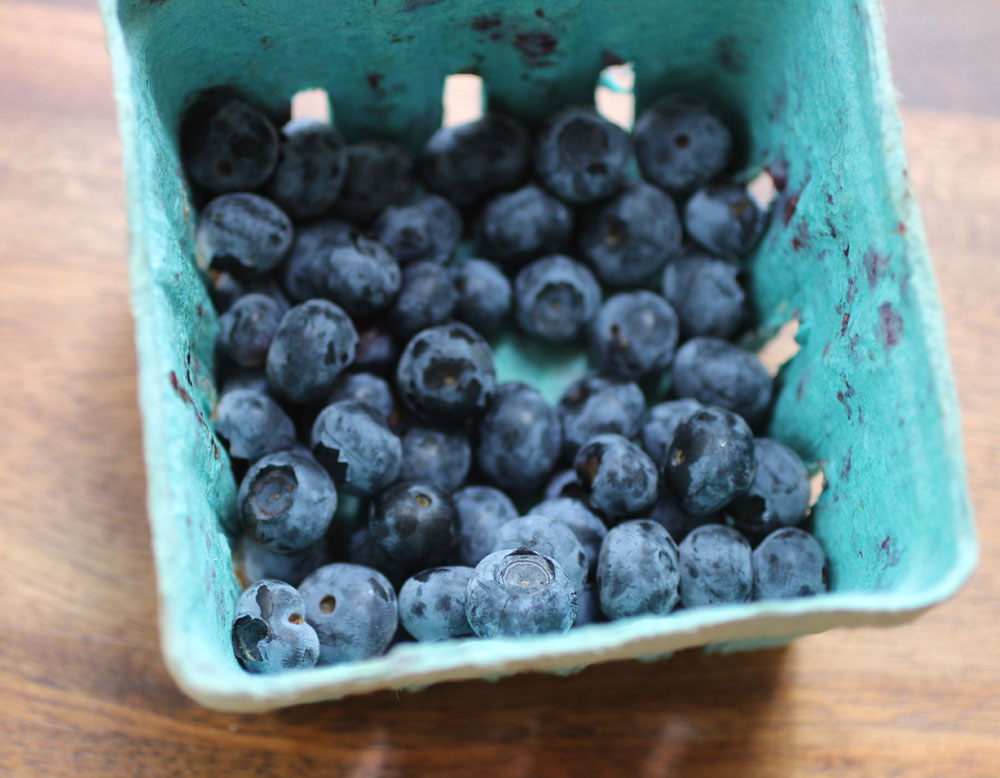 No-Bake Chocolate Berry Slices: A real food dessert | The Radiant Life Blog