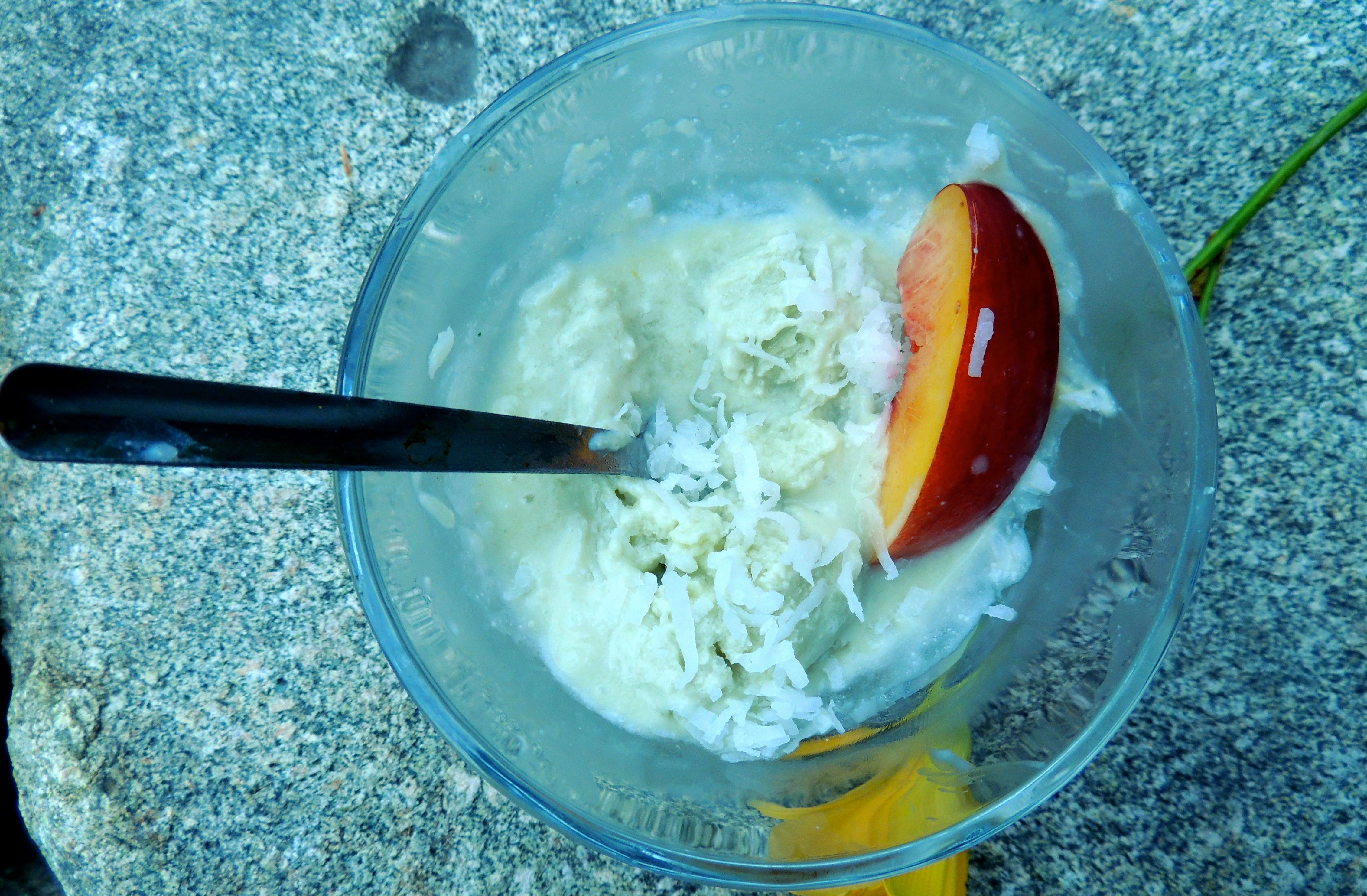 Coconut Milk Ice Cream Recipe