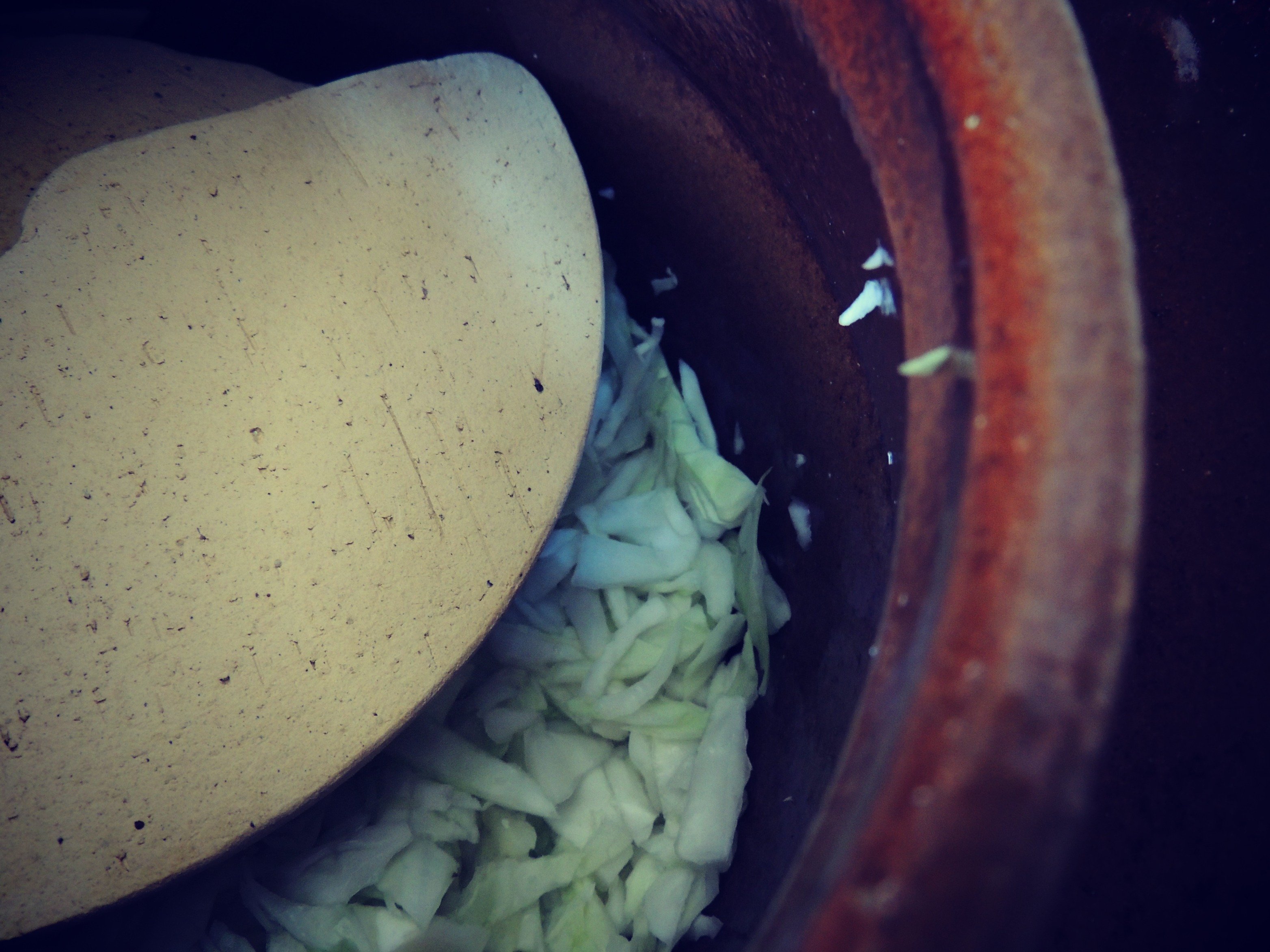 Easy 5 Step Raw Sauerkraut Recipe Using a Harsch Fermenting Crock