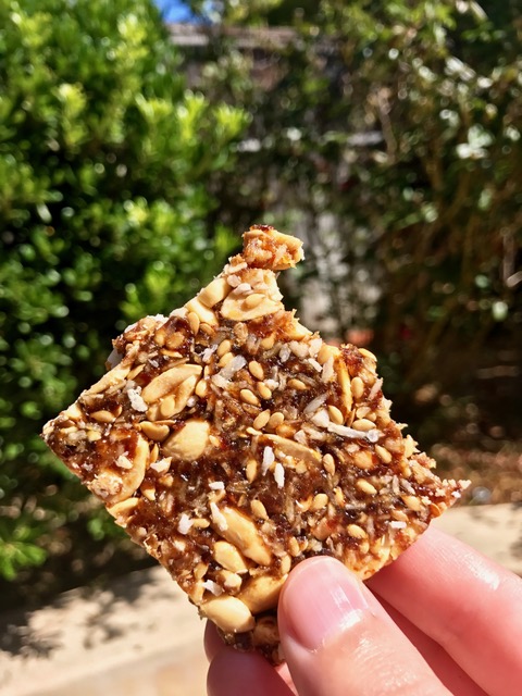 Nourishing-Energy-Bars5