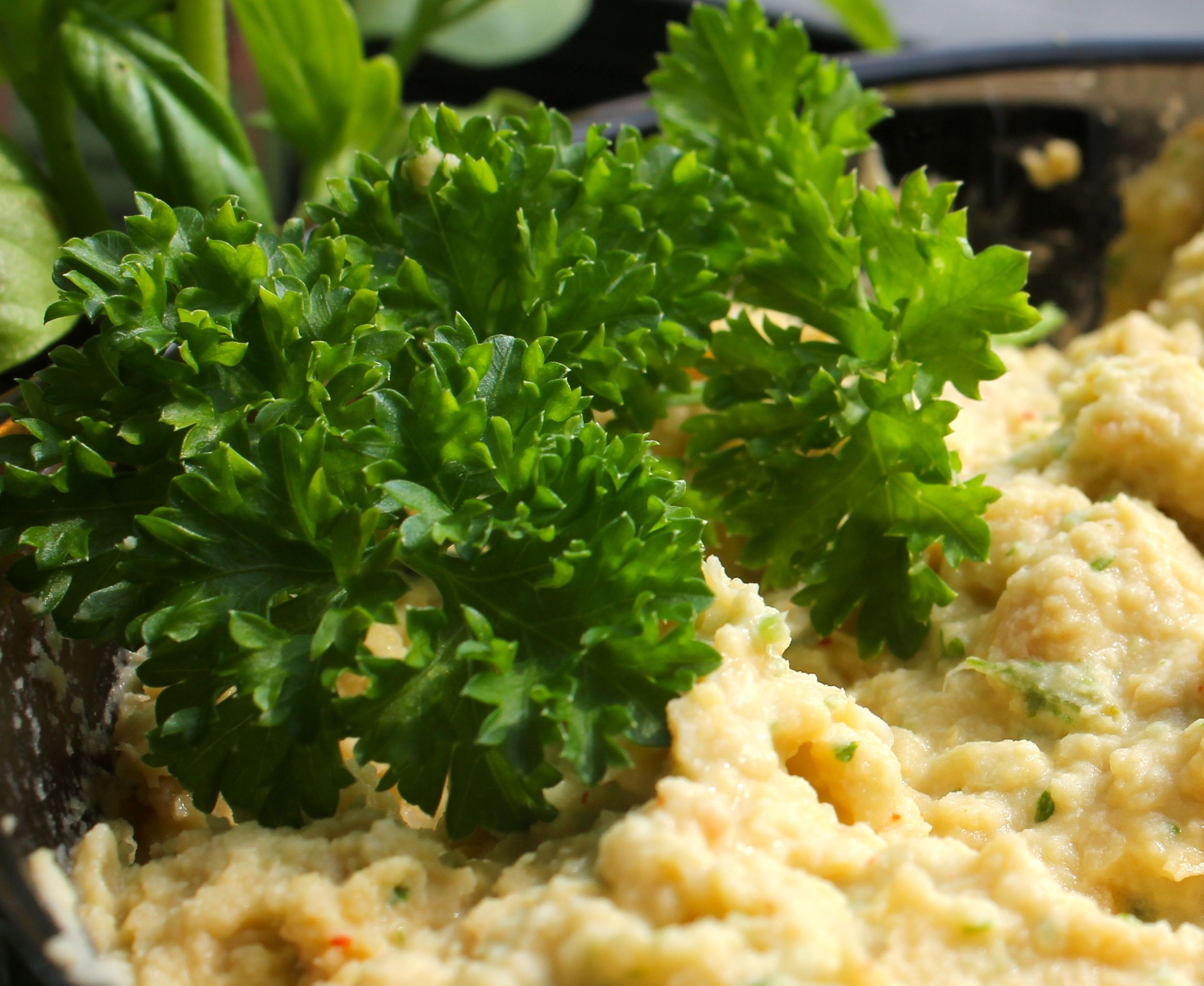 nutritional yeast