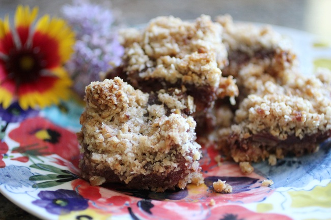 Pecan Fig Bars | Radiant Life Blog