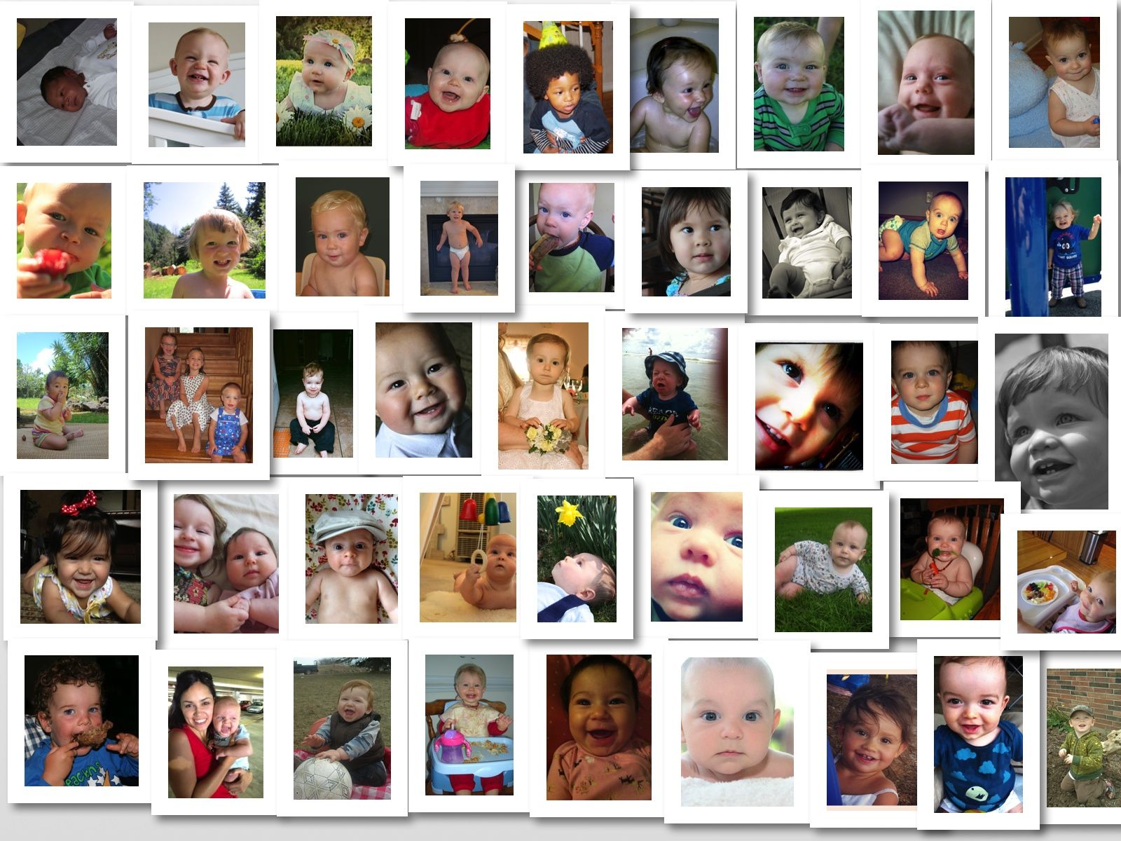 Nourishing Traditions Homemade Baby Formula