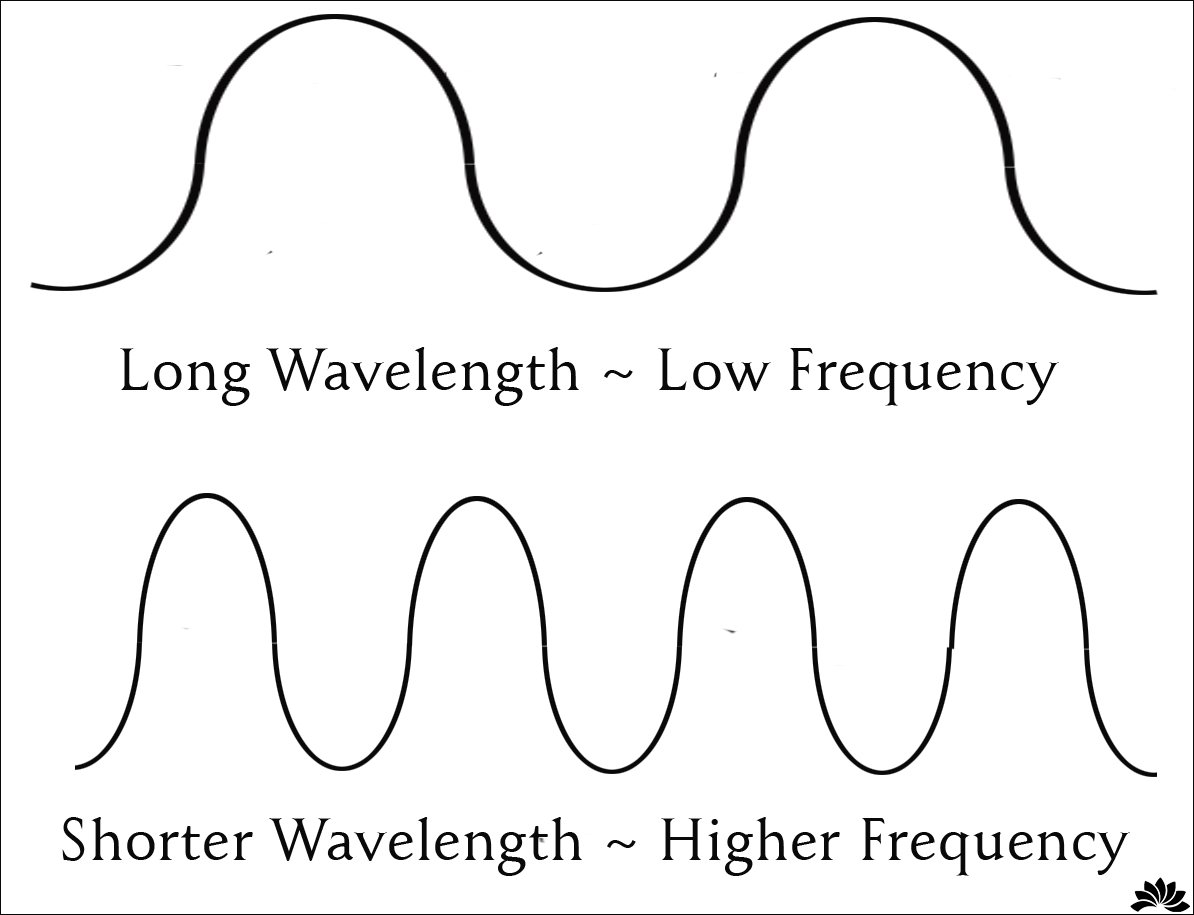 5 Things You Should Know About EMFs | Radiant Life Blog 