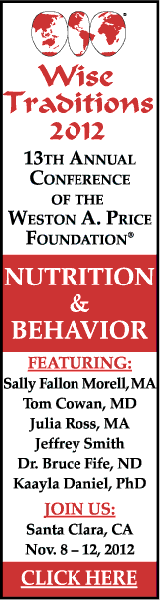 wise traditions banner